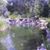 Linda Evridge Strilecky's profile image