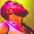 Harry Wirth's profile image