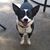 Clint-Tracey NunleyKillingsworth's profile image