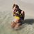 Alyssa Bunton's profile image