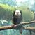 Diane Ryun's profile image