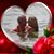 Selena McGuire Bauman's profile image