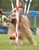 carol w.'s profile image