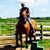 Marvin Stewart's profile image