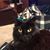 Roberta Johnston Burdick's profile image