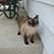 Kathleen Susan Vinyard's profile image