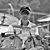 Richard Alderson's profile image