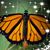 Karen M Riley's profile image