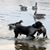 Scott Furchner's profile image