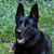 Andrea Bishop's profile image