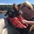 Sigrid Hollingworth's profile image