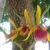 Teresa Alfonso's profile image