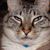 David Camp's profile image