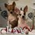 Angela N Barry Stidham's profile image