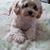 Cathy Burke O'Neill's profile image