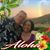 Damianna Lanawaiopua AhNee-Bechtel's profile image