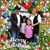 Daniela Hernandez Rodriguez's profile image