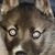 Terry Williams's profile image