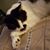 Sherry Jane - Alexander's profile image