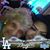 Salas Arlene's profile image