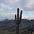 Tina Huerta's profile image
