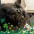 Ellen Klima Fedorchik's profile image