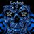 Kathy Donohue-Pytlarz's profile image