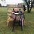 Wendi Ryon Lamar's profile image