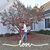 Amy Taylor's profile image