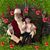 Deborah A. Davis's profile image