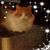 Lori Ann Mittman's profile image