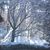Lurah Houghtaling's profile image