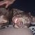 Jennifer Ahrens's profile image