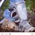 Debby Racer's profile image