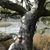 Mark Custer's profile image