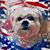 Beth Ellwanger Buckman's profile image