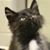 Jan Marie's profile image