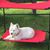 Peggy Sue's profile image