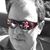 Jimmy Guynn's profile image