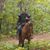 Brian Flohe's profile image
