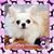 Laura Belcher's profile image