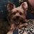 Cindy Dostaler's profile image