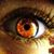 Amy Clinton's profile image