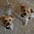 Michelle Waters Leonard's profile image