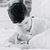Efy Gofis's profile image