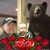 Terry Harris's profile image