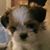 Carol Ekins's profile image