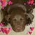 Jim Bass's profile image