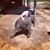 Jessica Morgan Mitchell's profile image