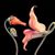 Debbie Lowton Hewitt's profile image